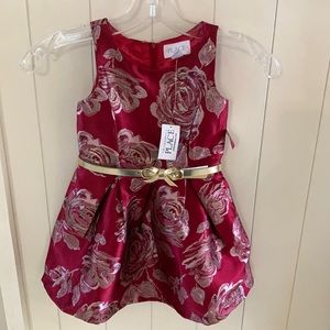 Children’s Place Christmas Holiday Dress NEW